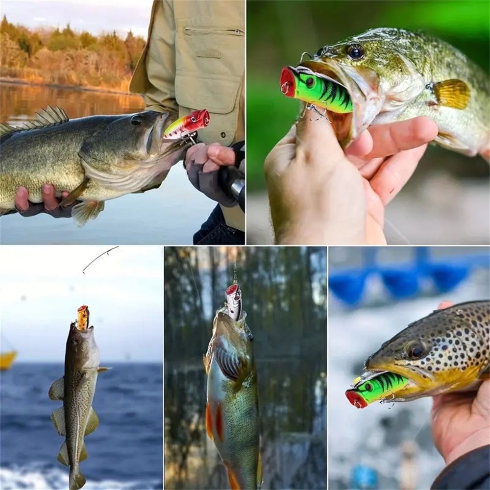 เหยื่อตกปลาแบบป๊อปเปอร์ 5 ชิ้น - Fishing Lure Crankbait บทวิจารณ์และราคา